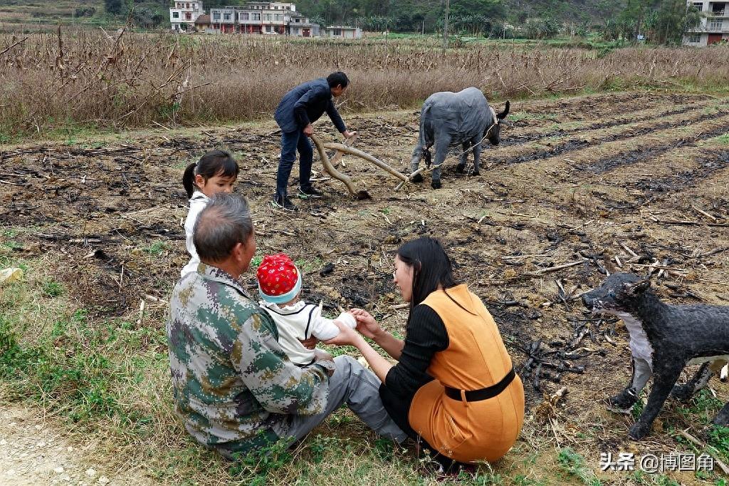 过年贴春联，奶奶叮嘱我别忘了在牛圈、猪圈外贴上“六畜兴旺”