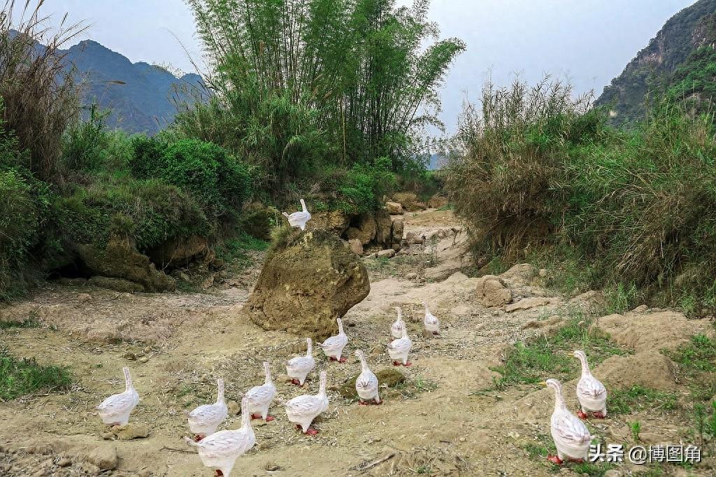 过年贴春联，奶奶叮嘱我别忘了在牛圈、猪圈外贴上“六畜兴旺”