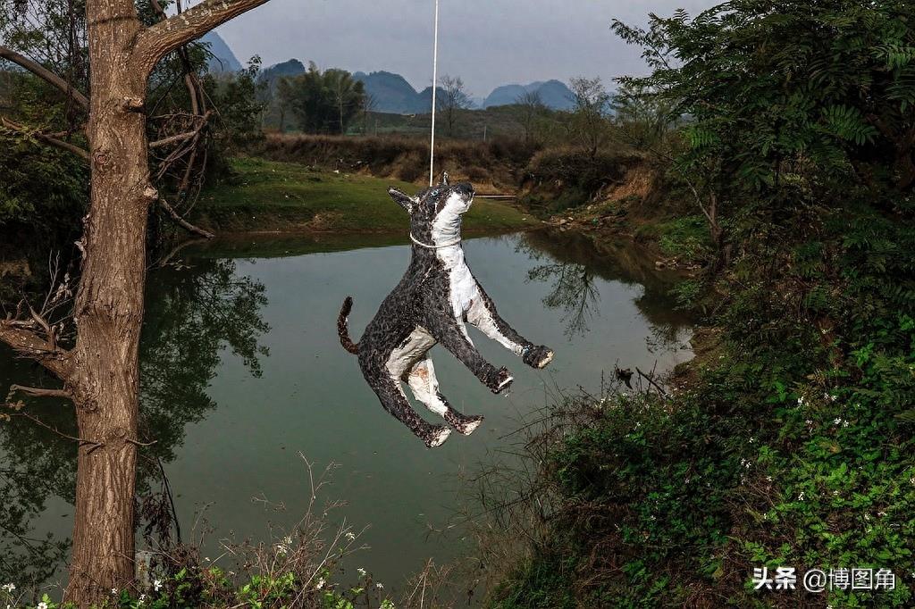 过年贴春联，奶奶叮嘱我别忘了在牛圈、猪圈外贴上“六畜兴旺”