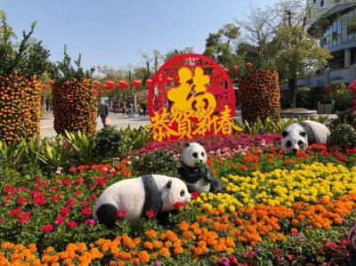 广州儿童公园全攻略 - 好玩、免费、带娃不累,和孩子一起放松