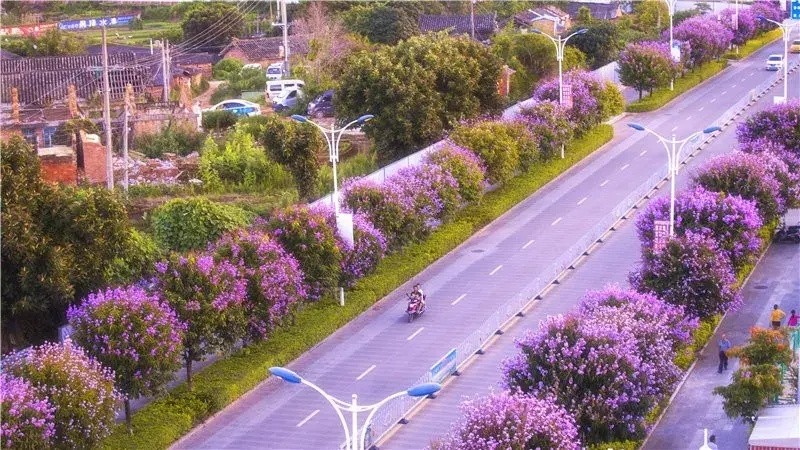 普洱有几个区几个县(普洱市九县一区介绍)