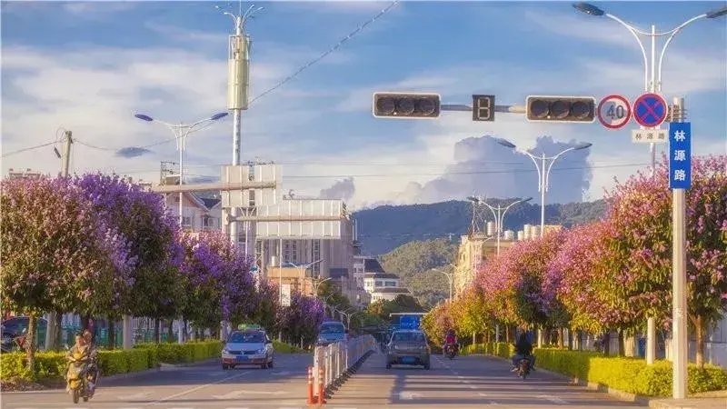 普洱有几个区几个县(普洱市九县一区介绍)