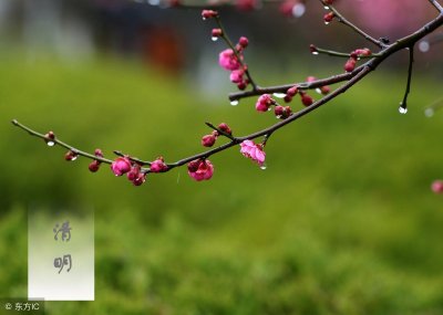 ​太平歌词《游西湖》