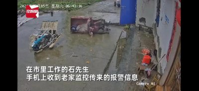 ​百善孝为先，这些“不孝”子女做的事值得深思……