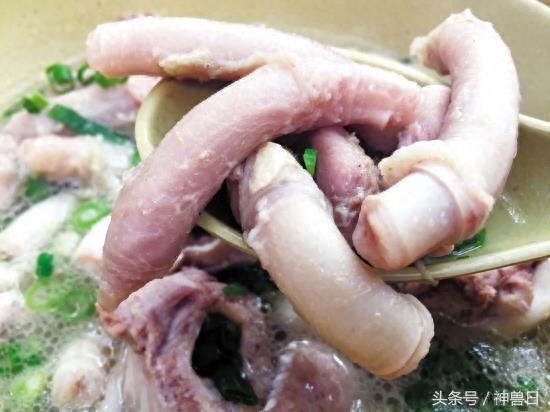 在广东吃过这14样东西算你牛！反正我是不敢吃！太恶心！