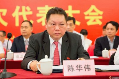 陈华伟丨“化州首善”心系家乡教育