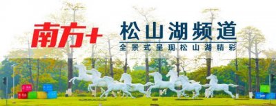 ​年薪最高15万元，松山湖管委会社会招聘岗位发布