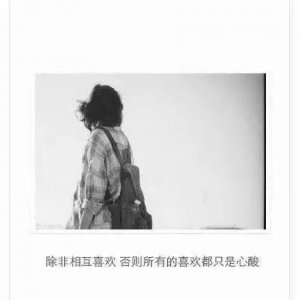 ​二十余句小女子不才，未能换来公子红妆十里 只愿换来你的真心