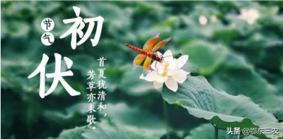 ​夏至三庚入伏，每年中伏有10天也有20天，伏天是怎样计算的？