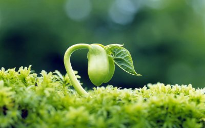 ​如果生命真的可以回到从前，你会不会后悔此生的选择？