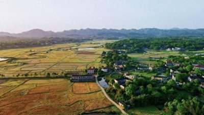 ​为你揭秘村支书一年的正常收入到底有多少！