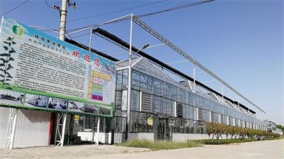 陕西果业种苗集团有限公司