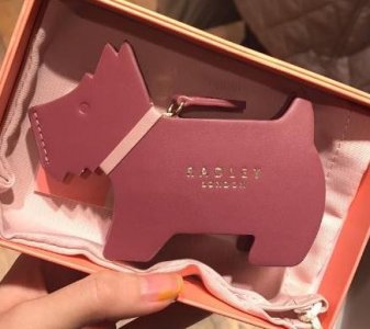 ​radley是什么牌子 来自来自英国的小清新