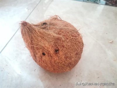 ​椰汁喝完了，椰子肉怎么处理，吃掉还是吃掉呢？