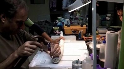 ​长1.5米巨型船蛆 活体现踪菲律宾海湾样貌如粗肥蚯蚓