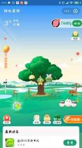 ​支付宝蚂蚁森林免费实物领证书＋明信片了