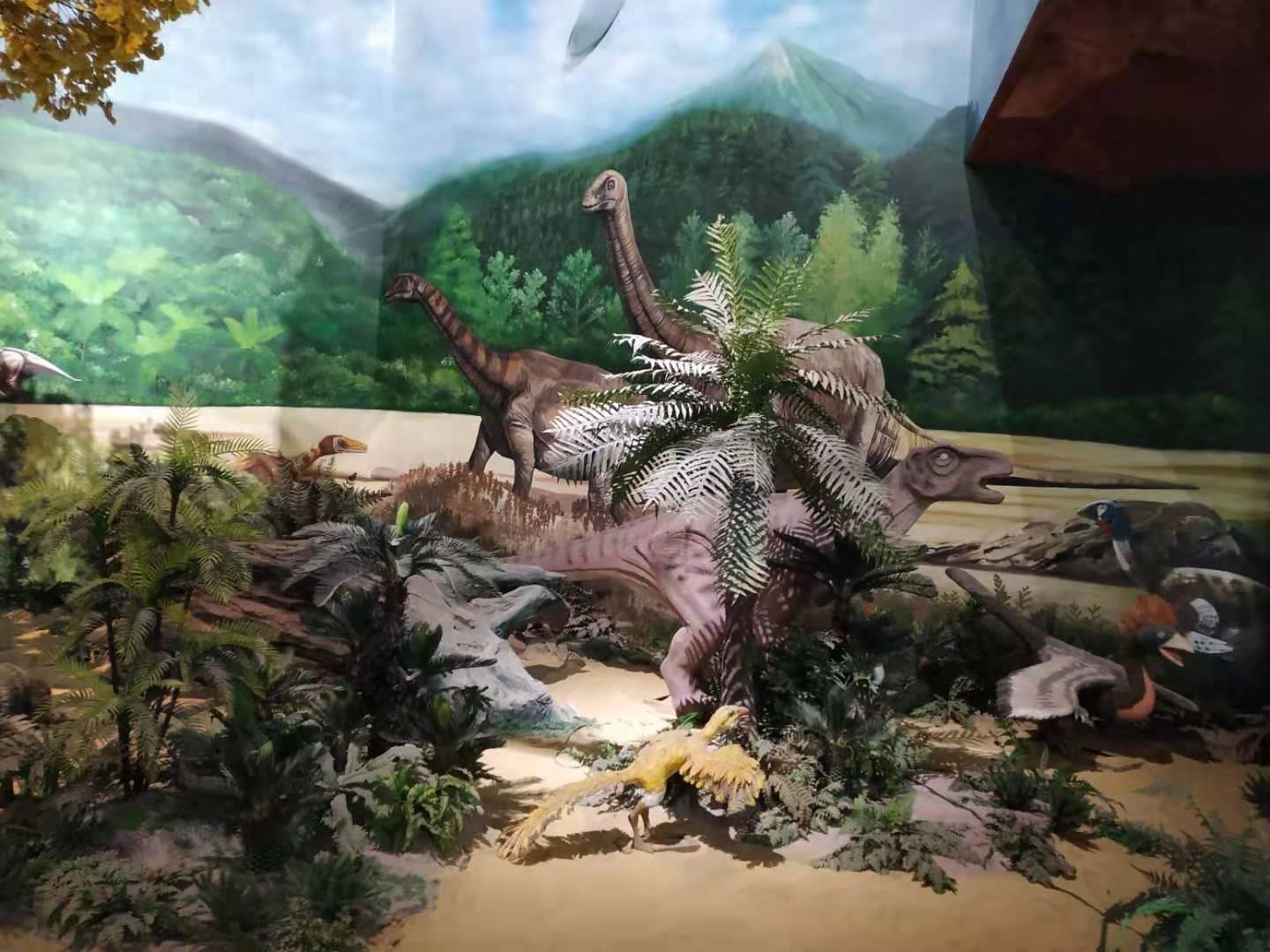 合肥地质博物馆