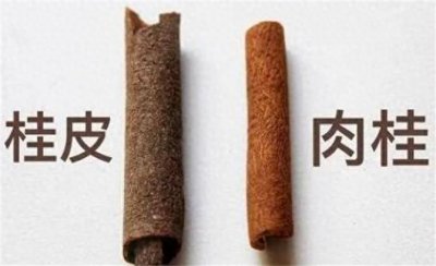​肉桂和桂皮一字之差，用途却截然相反，深度解读肉桂和桂皮的区别
