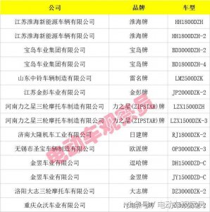 ​10个品牌的14款电动三轮车可以上牌了！除了金彭、淮海，还有谁？