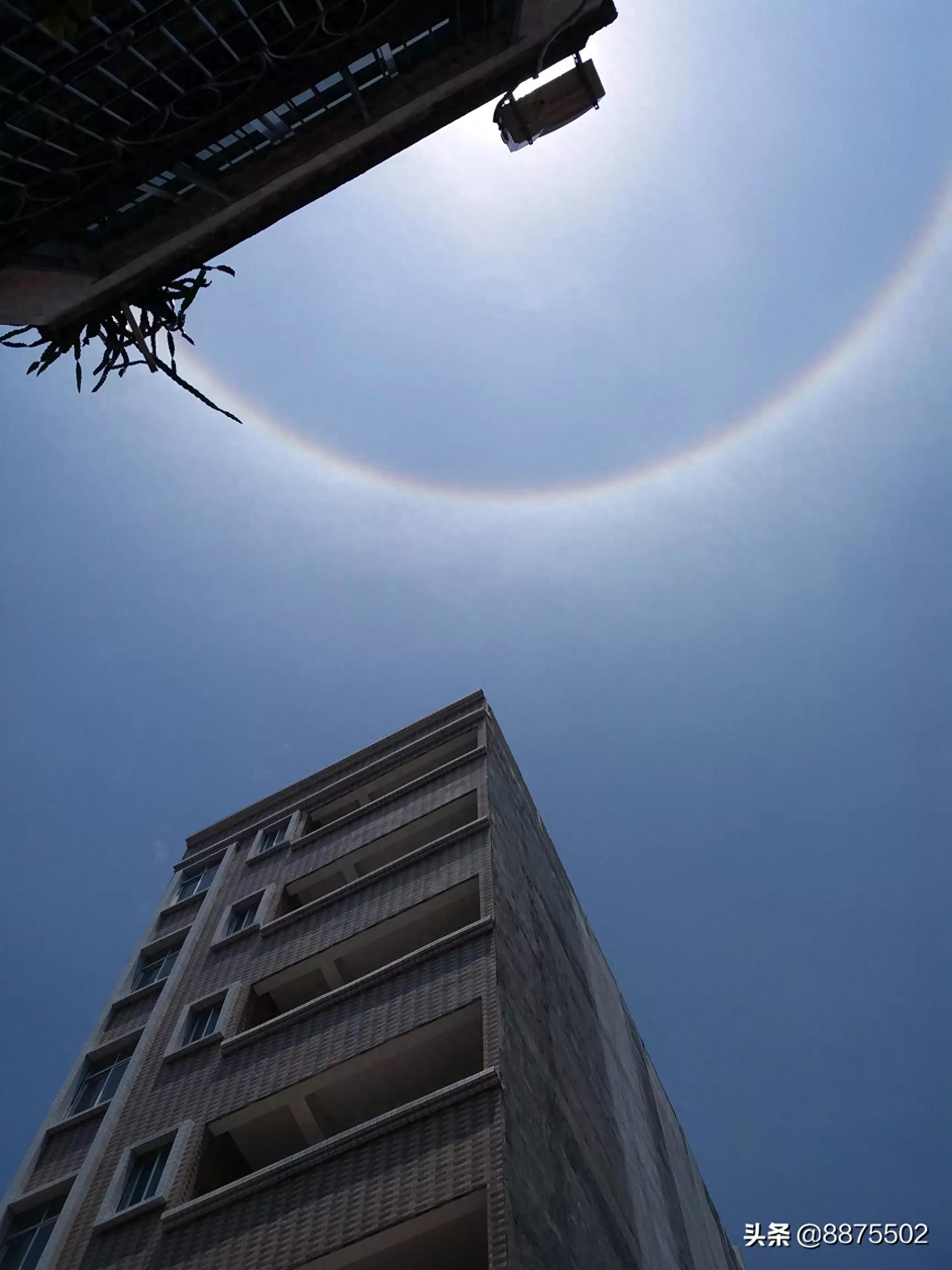 今天的太阳怎么了