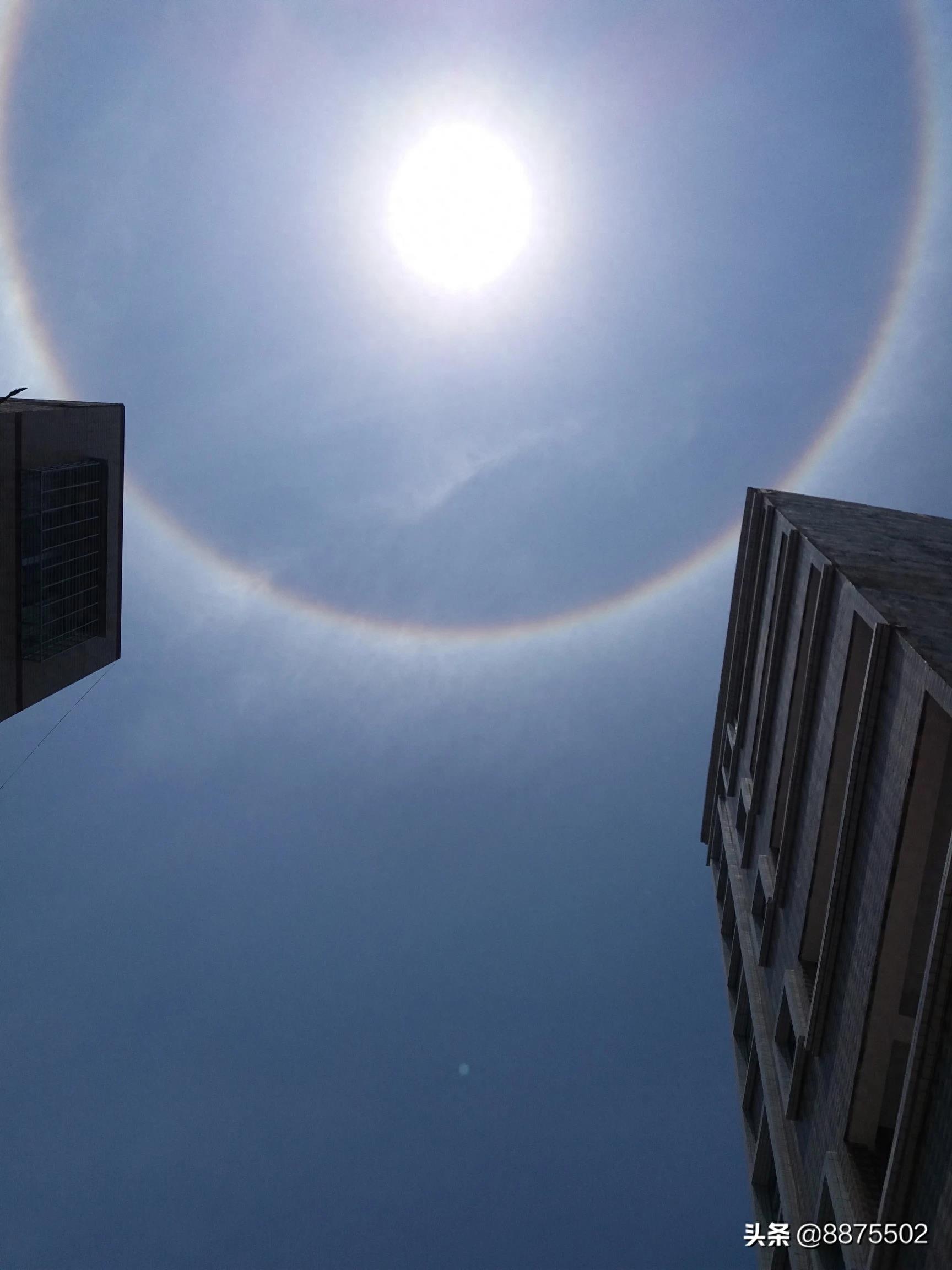 今天的太阳怎么了