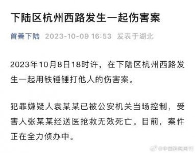 ​官方通报男子当街用铁锤伤人致死