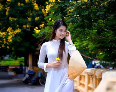​越南女人究竟有多美？