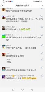 石金钱龟苗跌至3元