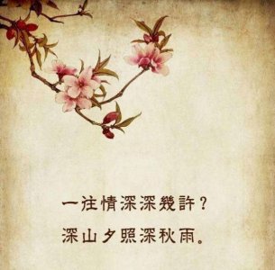 ​一往情深深几许？独留青冢向黄昏——纳兰性德《蝶恋花·出塞》