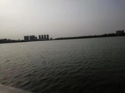 平原新区,入住可以吗,你怎么看