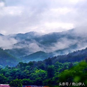 ​教你种木耳（一）：木耳的概述和常见的种植方法