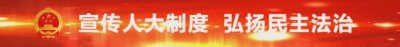 ​人大代表是如何选举产生的？