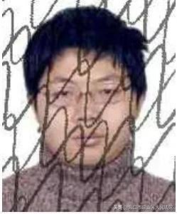 ​河南省新乡市牧野区枣焙南街11号的张伟华，琼山法院催你支付物业服务费23069