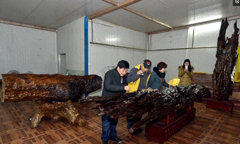 金丝楠木到底有多值钱?9幅图毫不隐瞒地告诉你答案,没吓着你吧