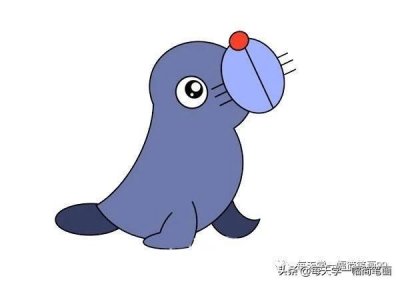 ​每天学一幅简笔画--卡通海豹简笔画画法步骤图解教程