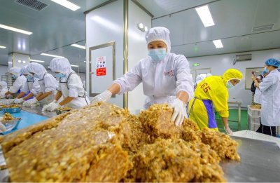 广西合浦:月饼飘香生产忙
