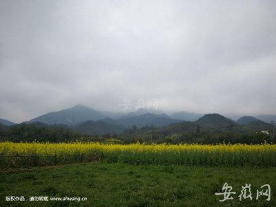 ​绩溪龙川：一览江南桃花源
