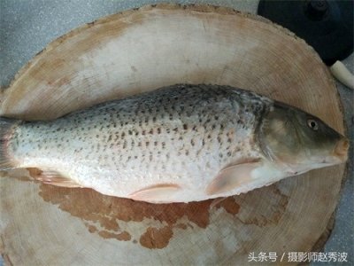 ​家常炖鲤鱼