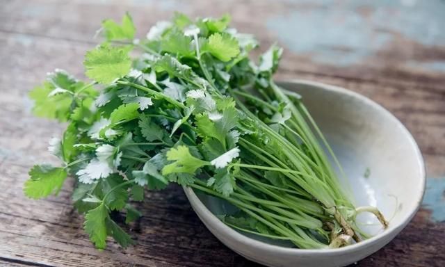 香菜怎么炒着吃