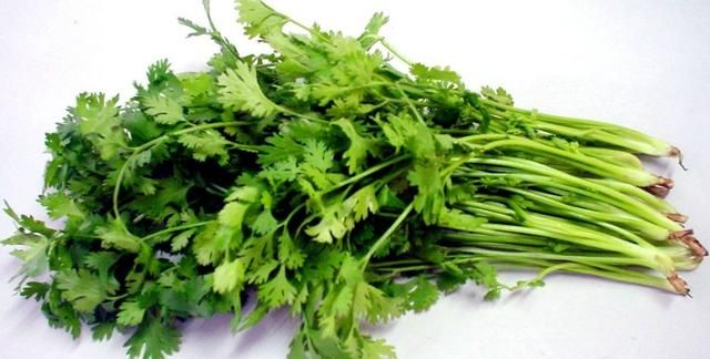 香菜怎么吃，香菜怎么吃香菜的吃法介绍？图3