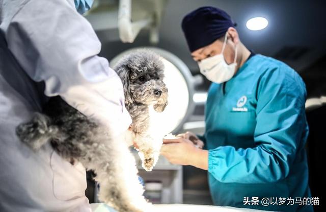 现在理科的女生读什么专业比较好（这7大专业很适合）(5)