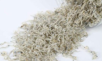 ​吃丁香鱼会有什么功效，凉拌酸甜丁香鱼的做法步骤图，怎么做好吃？