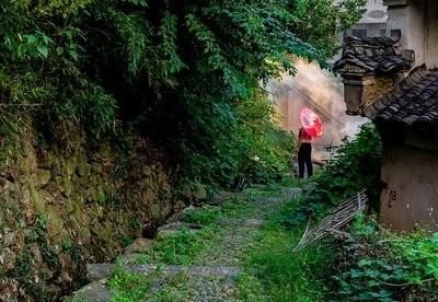 复照青苔上的复什么意思，复照青苔上山东的复数是什么意思？图3