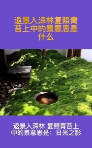 ​复照青苔上的复什么意思，复照青苔上山东的复数是什么意思？