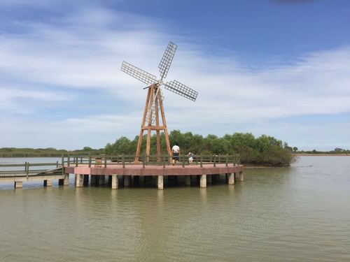2、黄河口风景名胜区