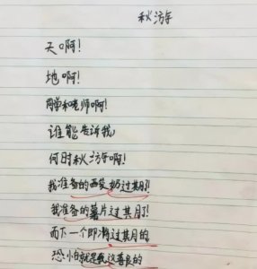 ​小学生“情书”意外走红，大学生看了自愧不如，网友：是个人才