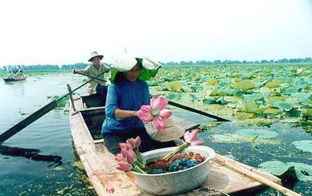 白洋淀在哪儿个地区