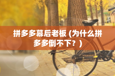 ​拼多多幕后老板 (为什么拼多多倒不下？)