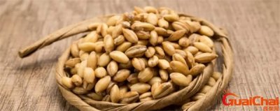 ​生麦芽回奶的正确方法 生麦芽疏肝一天多少克