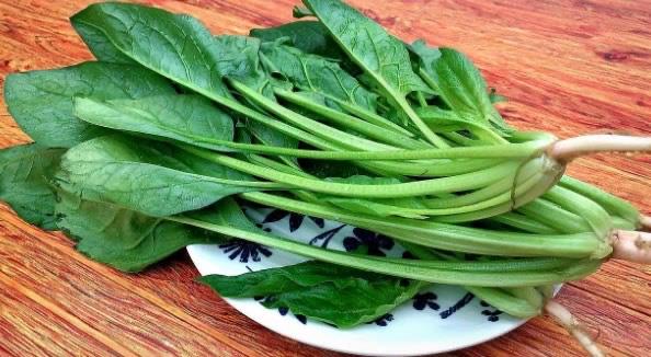 生活吃什么长头发快最有效（对头发生长有益的食物）  2